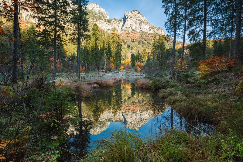 германия, бавария, озеро, отражение, горы, осень, лес Осенний лес. фото превью
