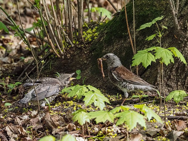 Есть хочу!!!photo preview