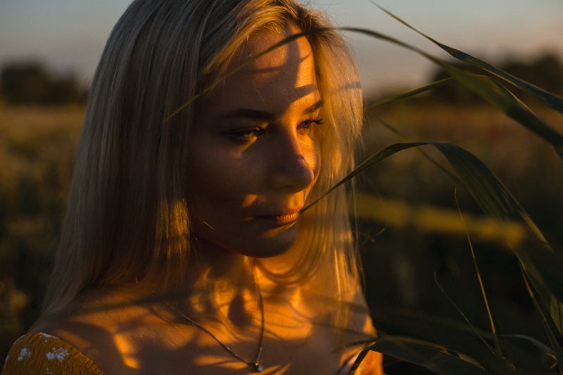 девушка поле закат солнце лето photo preview