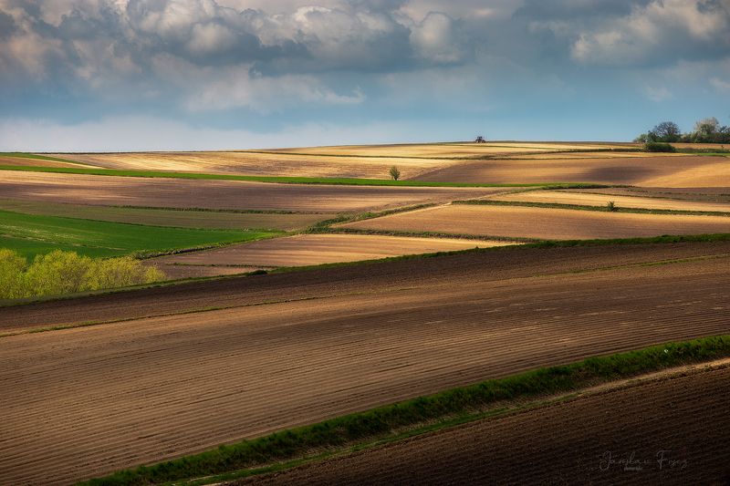 Patchwork .photo preview