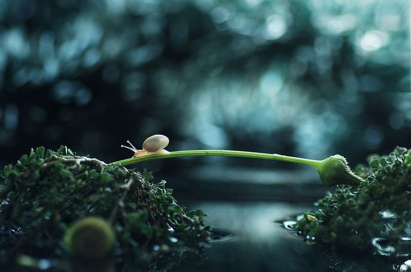 free pass :)photo preview