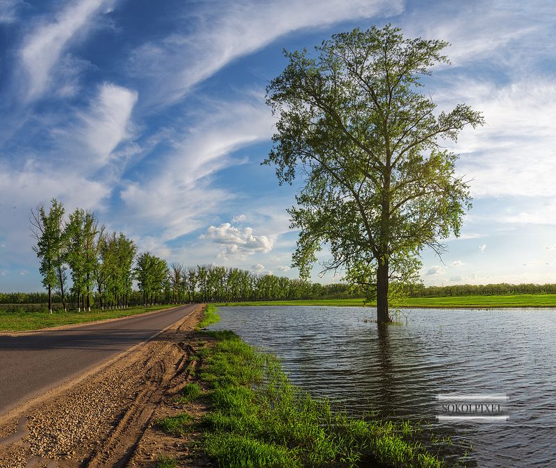Майские краскиphoto preview