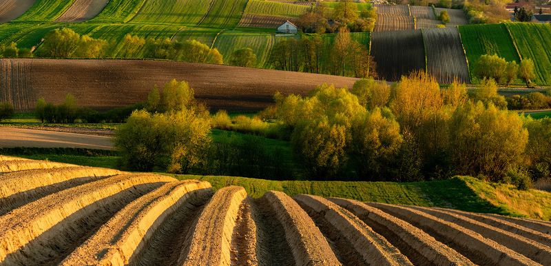 light painted wavesphoto preview