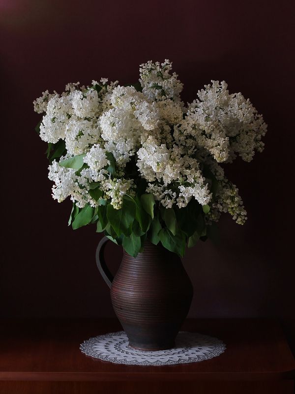 Белая сиреньphoto preview