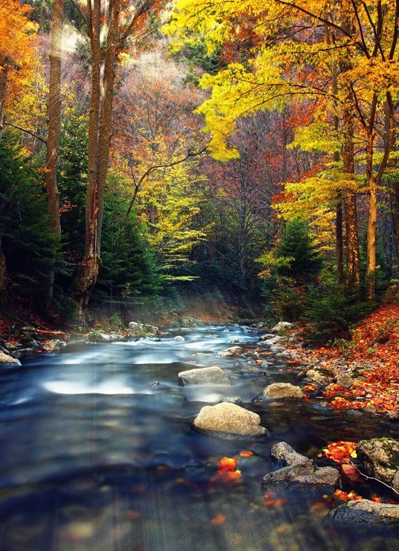 Enchantedphoto preview