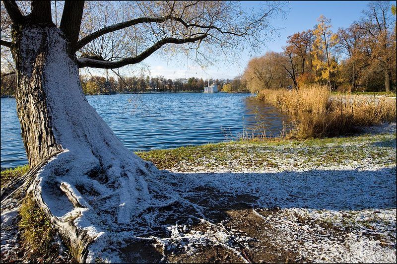 У большого пруда.photo preview