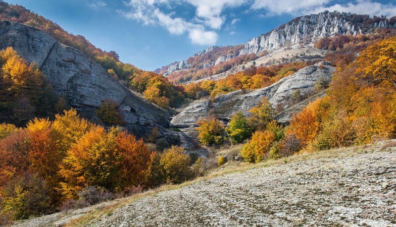 Октябрь в Крымуphoto preview