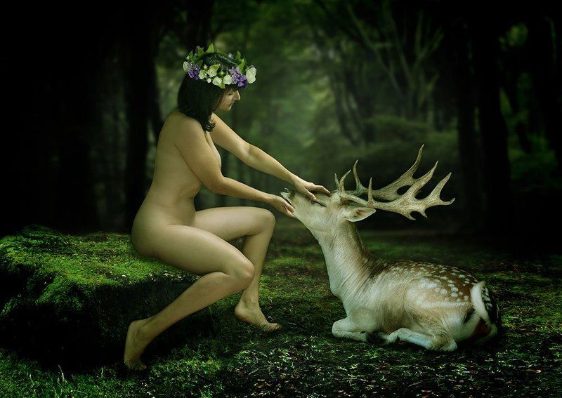 Деревья, Европейская, Лань, Лес, Сказочный Лесная сказка. фото превью