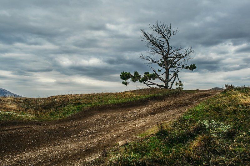 Несломленныйphoto preview