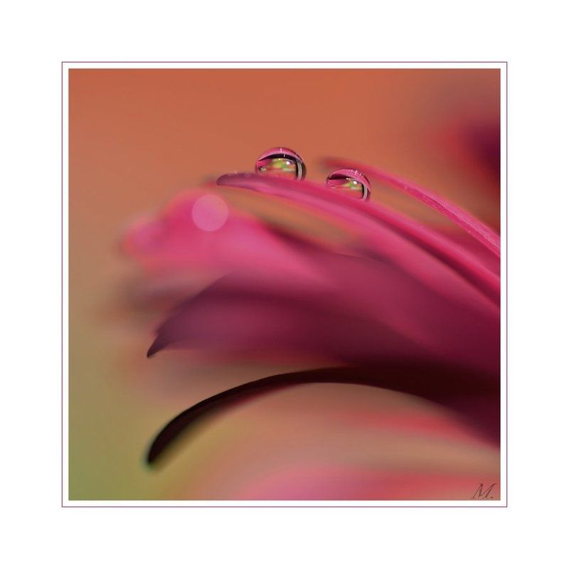 Я и тыphoto preview