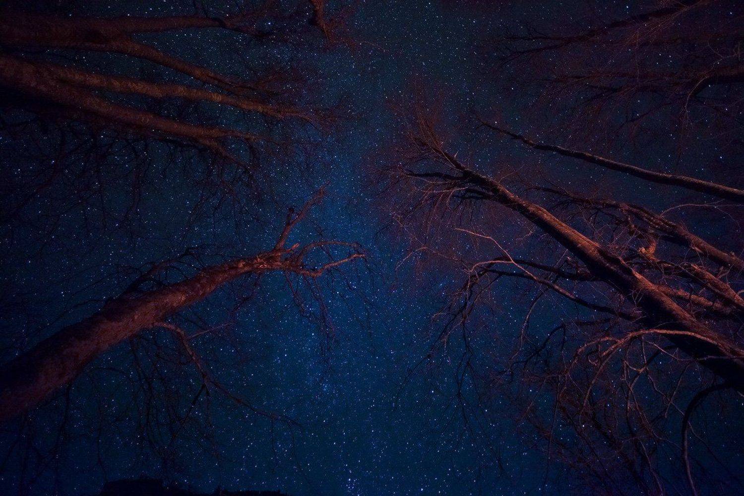 Под звёздами. Автор: Ирина Заграничная , Ирина Заграничная