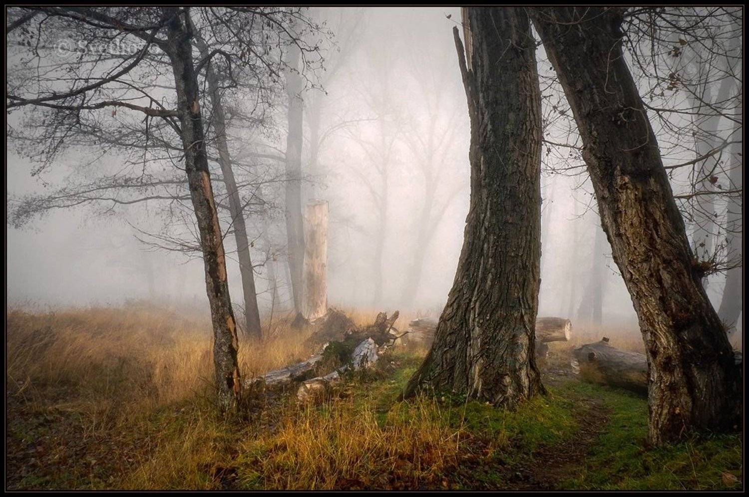 bulgaria, sofia, Svetoslav Georgiev