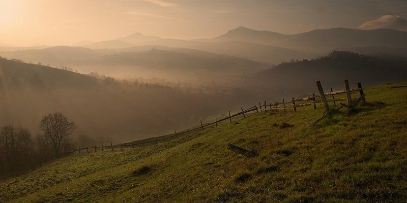 утро, туман, карпаты, холмы, горы На склонах утренних холмовphoto preview