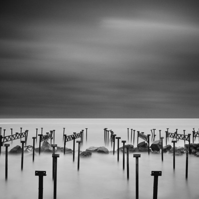 Skeletonsphoto preview