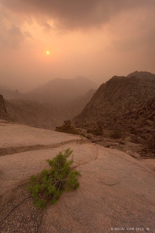 Al-Hadaphoto preview