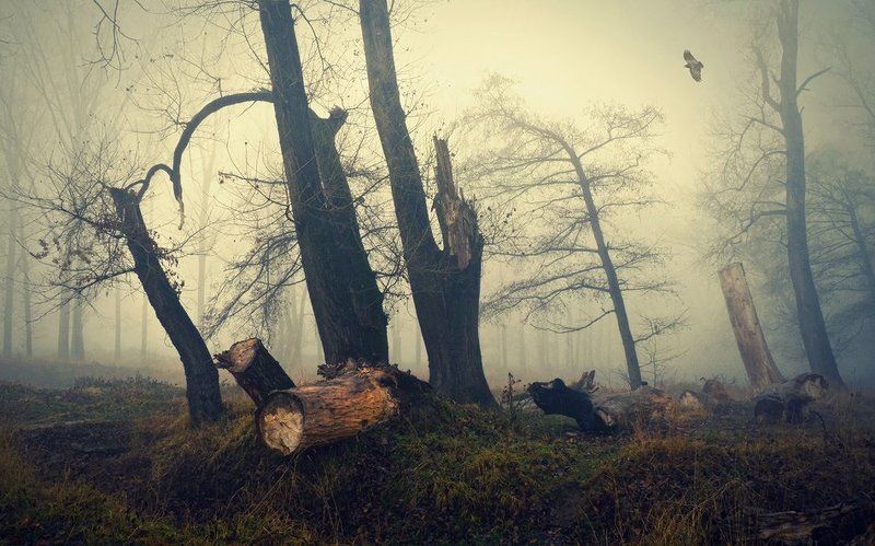 bulgaria  фото превью