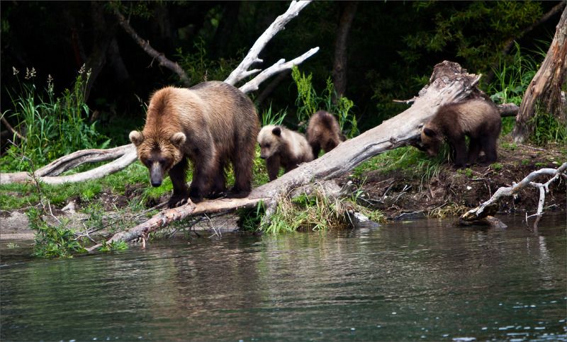 Камчатка Рыбаки фото превью