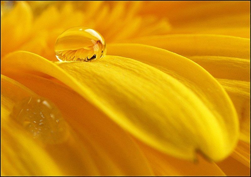 Пилюляphoto preview