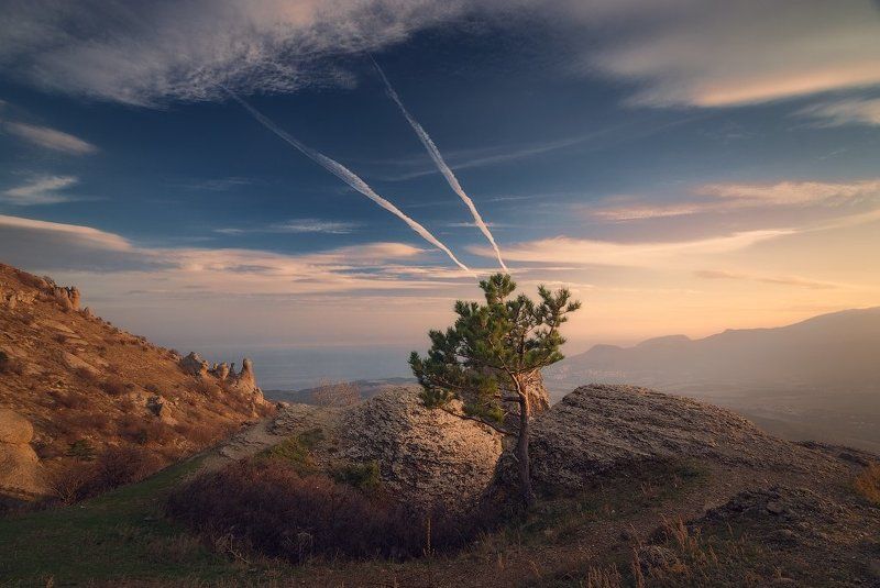 крым, демерджи Линииphoto preview