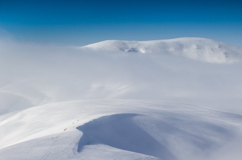 Без названияphoto preview