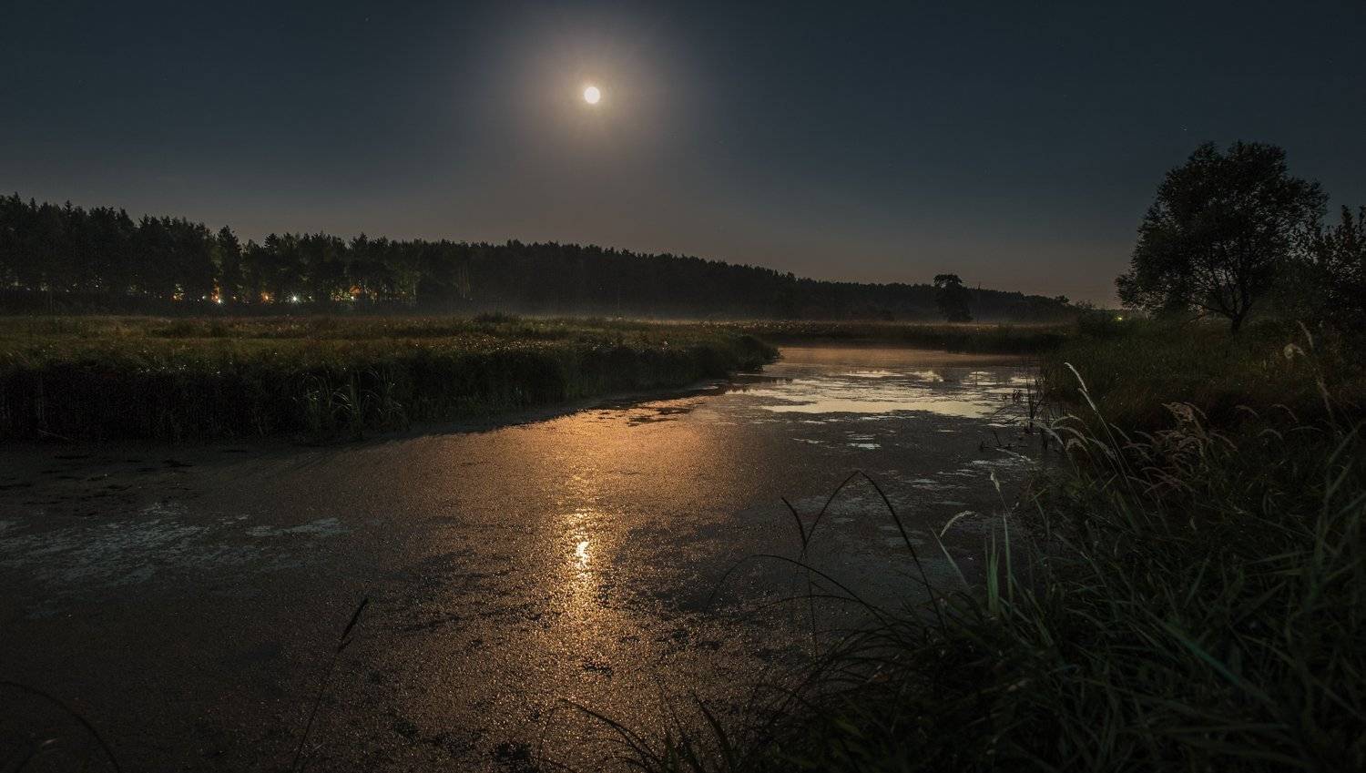 , Евгений Цветков