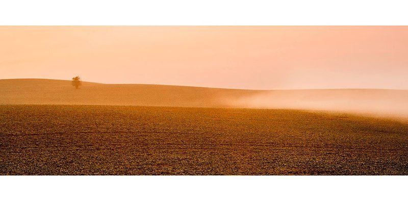 Misty morningphoto preview