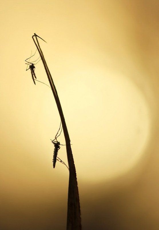 Тёплое утроphoto preview