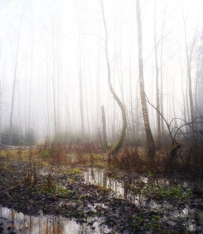 Осеннееphoto preview