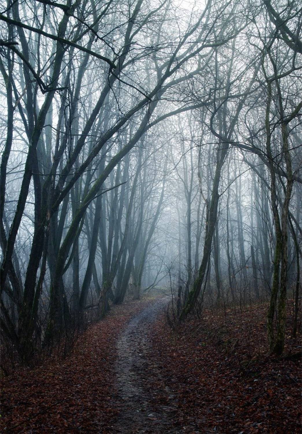 Автор: Владимир Жуков , Владимир Жуков