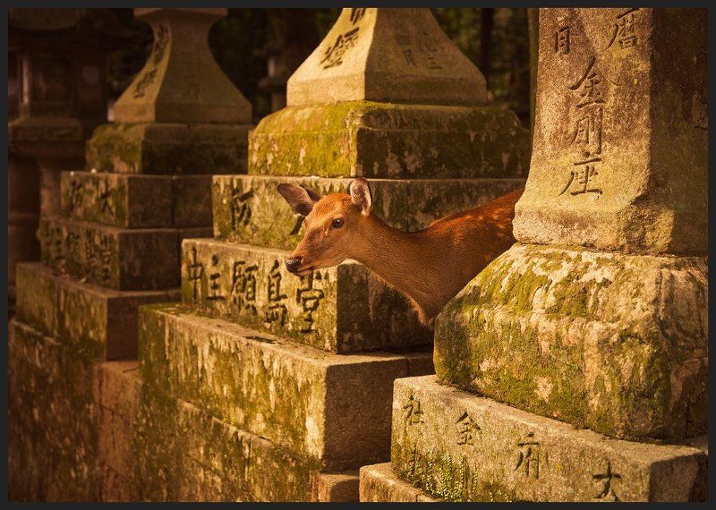 В гармонии с Богамиphoto preview