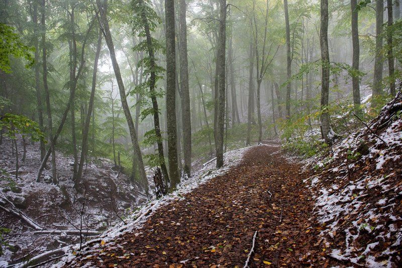 Октябрь в Крыму (часть 2)photo preview