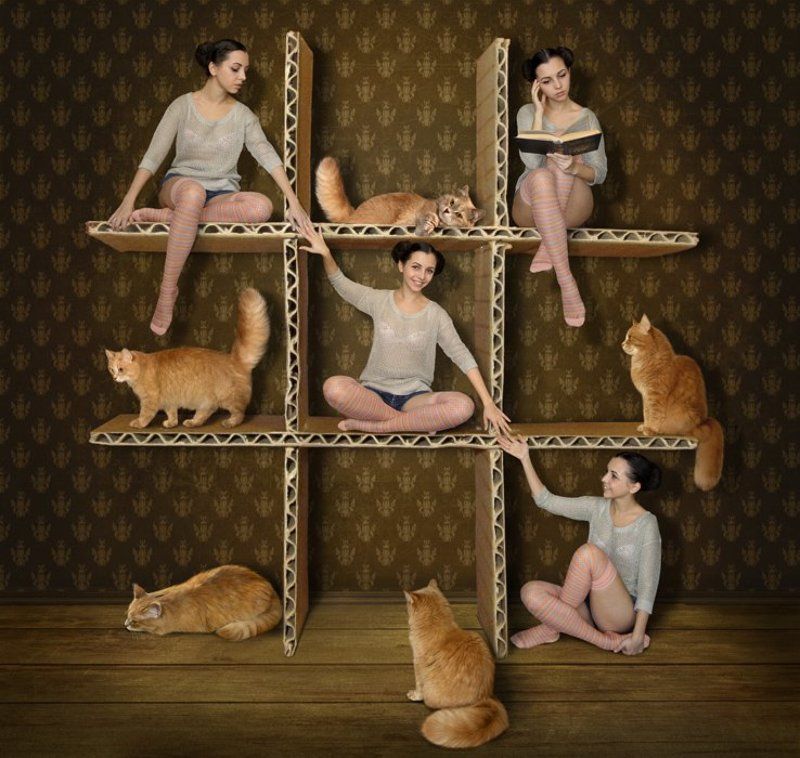 Девочки, Кошки, Крестики-нолики, Юмор \