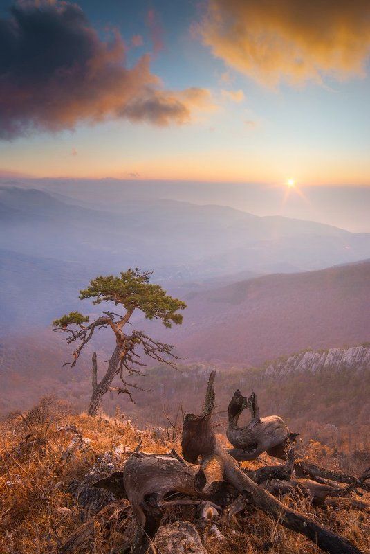 Осеннее утро.  Над каждым холмом безымянным  Прозрачная дымка фото превью