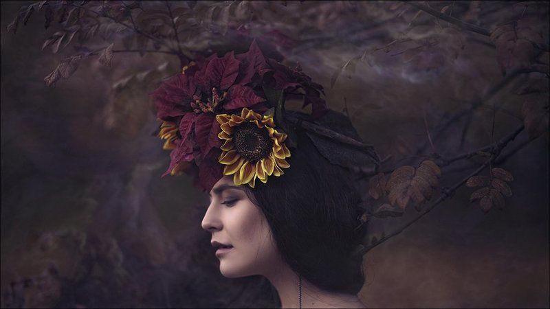 autumn flowersphoto preview