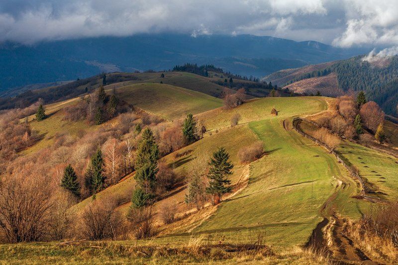 Закарпатье фото превью