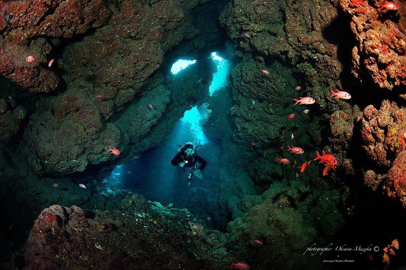 Сафари по Красному морю.photo preview