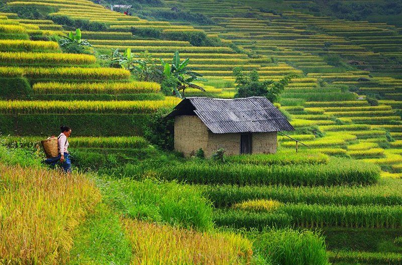 Octoberphoto preview