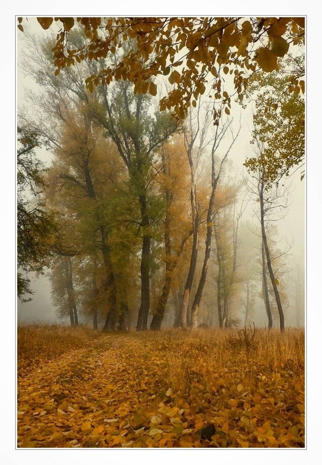 bulgaria, sofia, Svetoslav Georgiev