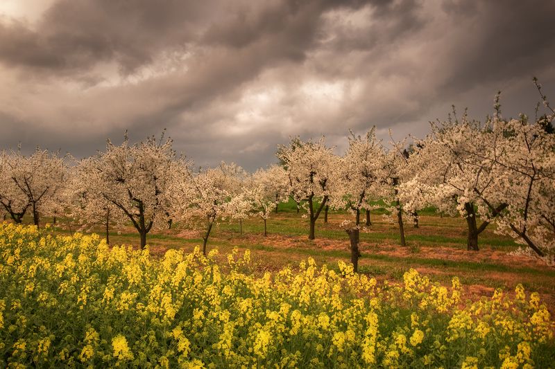 storm, west, spring, color photo preview