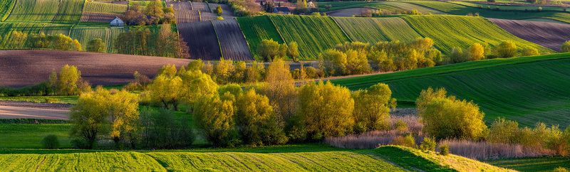 Spring explosionphoto preview