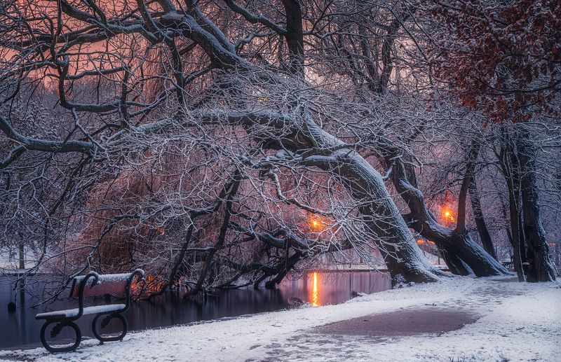 Нет людей  на улице  фотография  зима  снег  дерево  природа  Вода Природа  Холодная температура  день  Пейзаж   небо  спокойствие  Красота в природе  лес  Спокойная сцена  мороз  Зимние вечера в Праге.photo preview