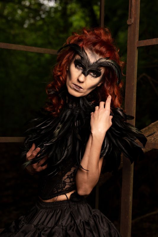 The black crowphoto preview