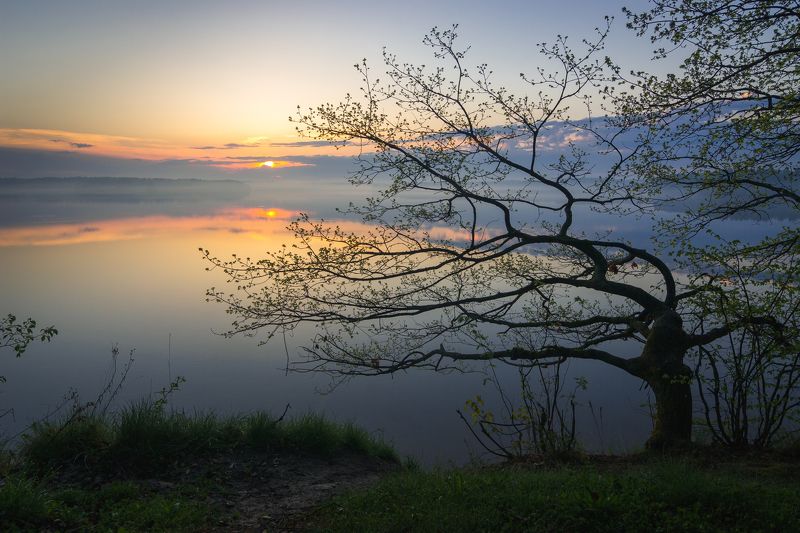 туман, московская область, утро, природа, пейзаж, рассвет, водохранилище,  солнце Рассвет на Истринском водохранилищеphoto preview