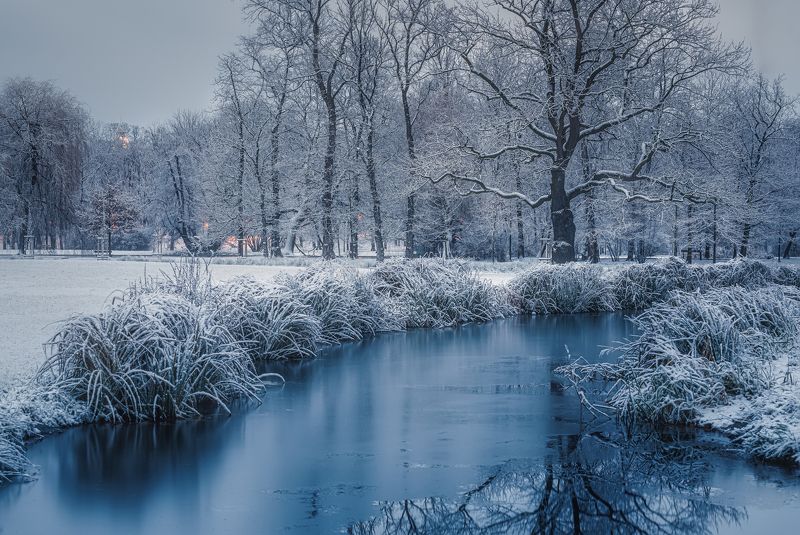Нет людей  на улице  фотография  зима  снег  дерево  природа  Вода Природа  Холодная температура  день  Пейзаж   небо  спокойствие  Красота в природе  лес  Спокойная сцена  мороз  Зимние вечера в Праге.photo preview