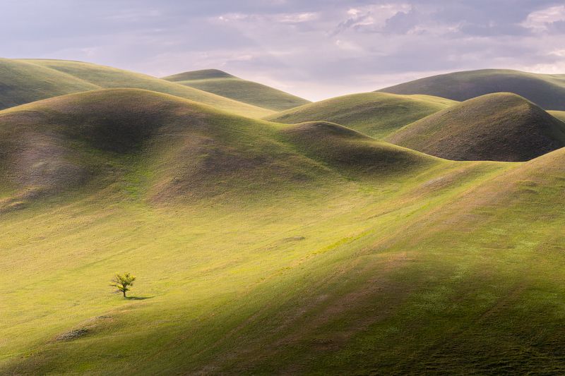 один photo preview