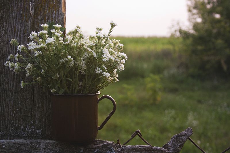 деревня, беларусь вечер в деревне фото превью