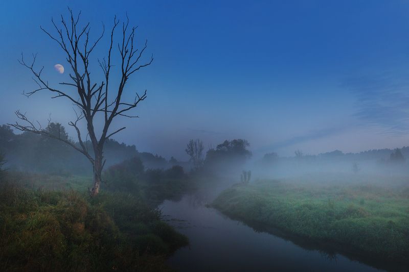 #river, #blue, #night, #day, #color, #moon photo preview