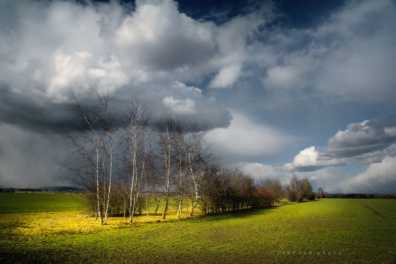 весенние сцены ,весна, деревья, поля, облака ,zanfoar,занфоар,czech republic,moravia,bohemia,чешская республика,чехия весенние сценыphoto preview