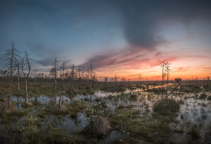 новгородская область, Болотные историиphoto preview