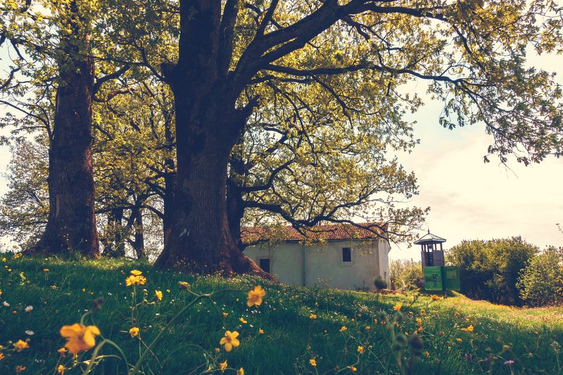 sony rx 100-4 photo preview